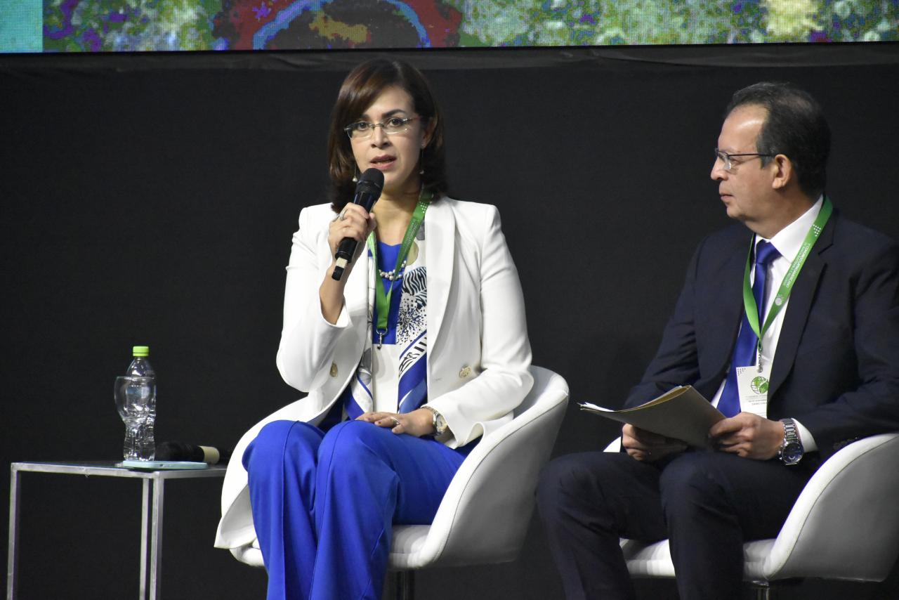 Presidenta de la AFD, panelista del...