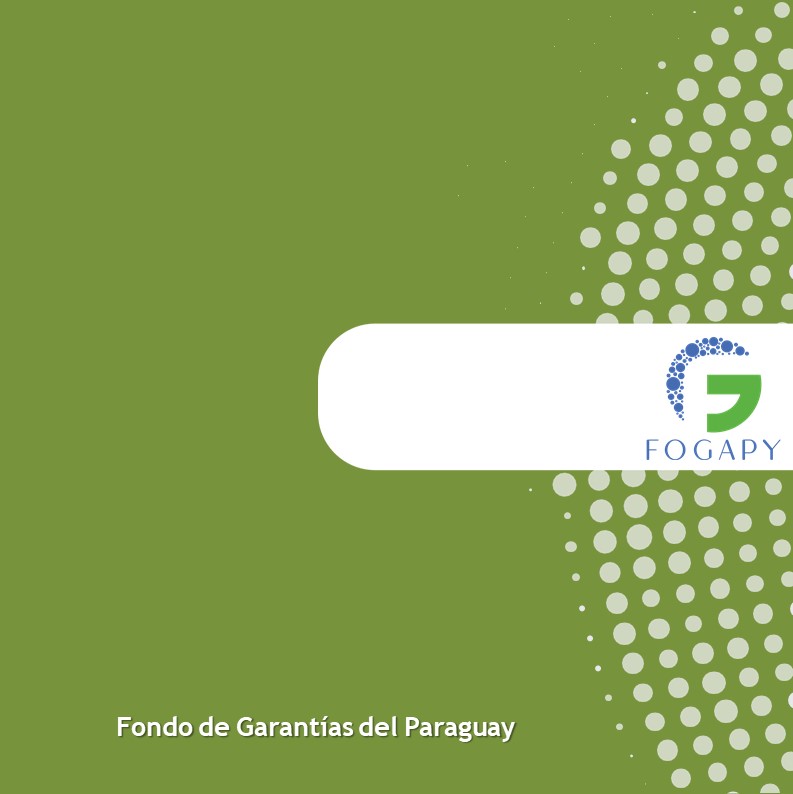 FONDO DE GARANTÍAS DEL PARAGUAY