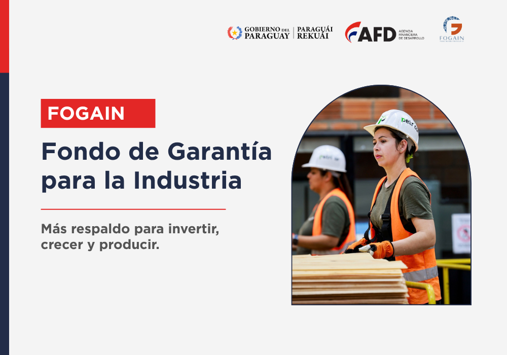 FOGAIN: garantías que acompañan el...