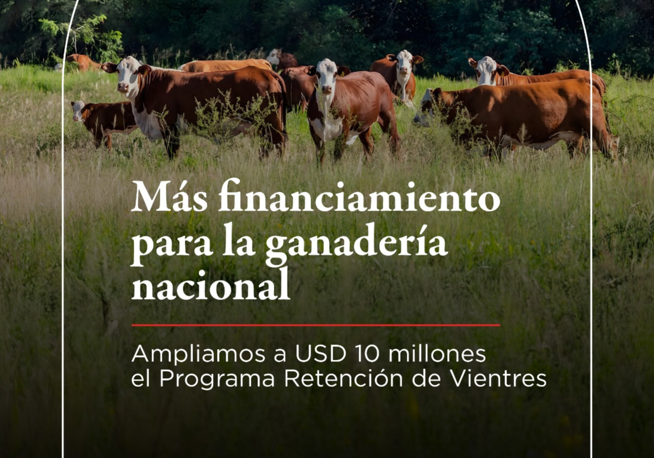 AFD amplía a USD 10 millones el...