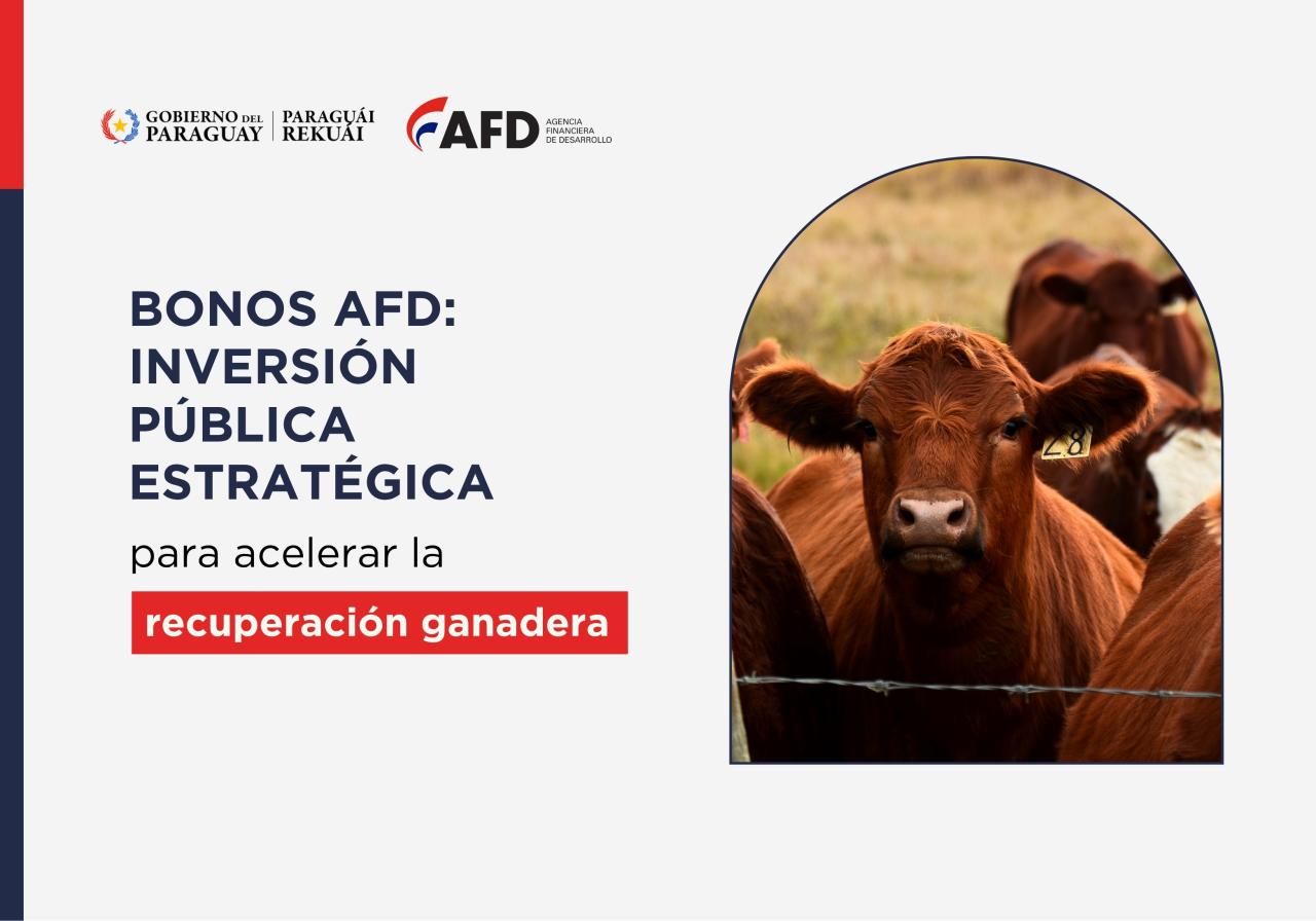 AFD emite bonos para financiar la...