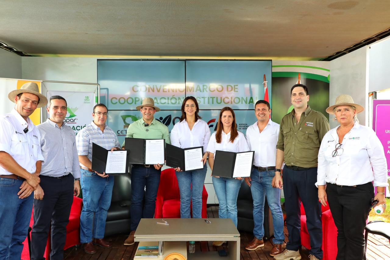 Más oportunidades para jóvenes del...