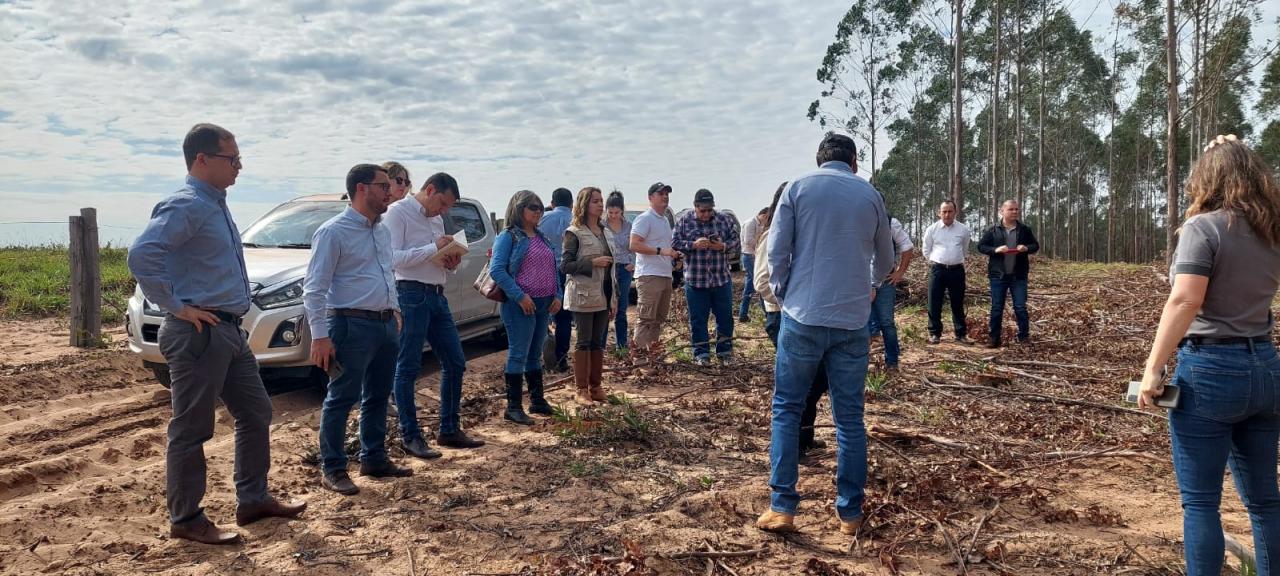 AFD visita plantaciones forestales...