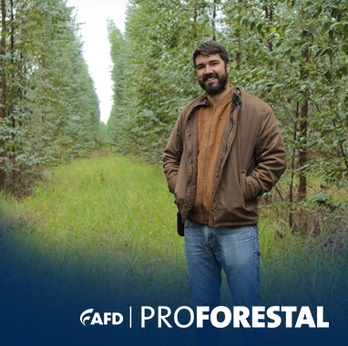 PROFORESTAL